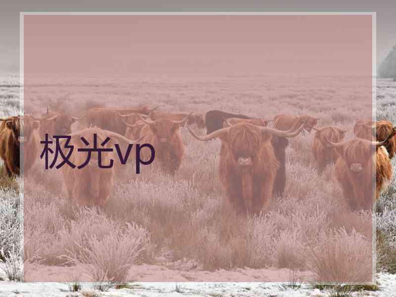 极光vp